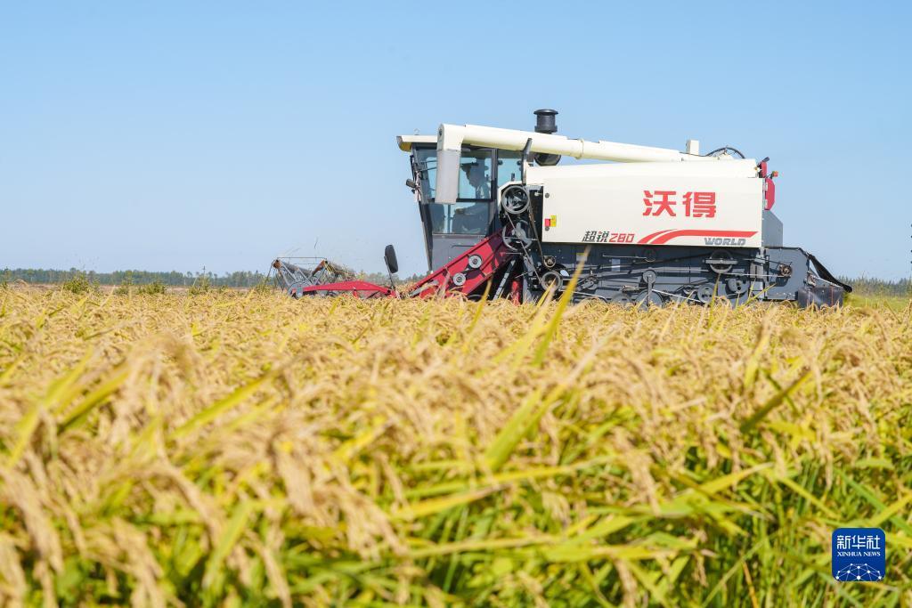 缅甸腾龙网投是真的吗?